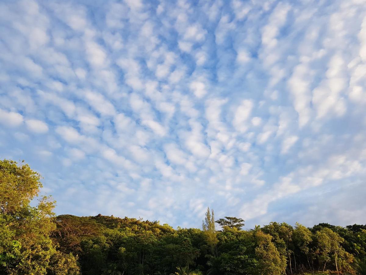 Bougainvillas Seychelles Anse Royale Bagian luar foto